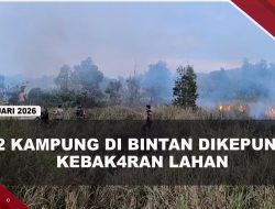 [VIDEO] Dua Rumah di Sungai Lekop Bintan Nyaris Dilahap Api Karhutla | U-NEWS