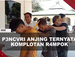 [VIDEO] Pencuri Anjing Viral di Batam Ternyata Pembobol Ruko di Sagulung | U-NEWS