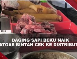 [VIDEO] 2 Pekan Ramadan, Harga Daging Sapi Beku di Bintan Naik Rp5.000 | U-NEWS