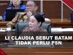 [VIDEO] Wakil Kepala BP Batam Sebut PSN Bebankan Pemerintah Daerah | U-NEWS
