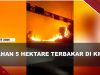 [VIDEO] Lahan 5 Hektare di Pinggir Jalan KM 14 Tanjungpinang Terbakar | U-NEWS