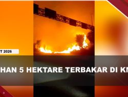 [VIDEO] Lahan 5 Hektare di Pinggir Jalan KM 14 Tanjungpinang Terbakar | U-NEWS