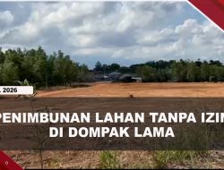 [VIDEO] Penimbunan Lahan Tanpa Izin di Dompak Lama Ancam Ekosistem Mangrove | U-NEWS