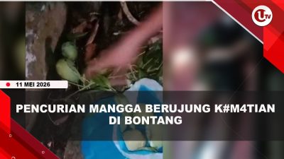 [VIDEO] Polisi Gelar Prarekonstruksi Meninggalnya Terduga Pencuri Mangga Usai Terjatuh | U-NEWS