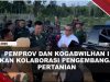 [VIDEO] Wagub Nyanyang Tinjau Kebun Kogabwilhan I Sekaligus Bahan Ketahanan Pangan | U-NEWS