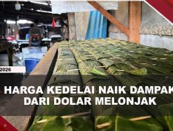 [VIDEO] Kedelai Melonjak, Pembuat Tempe di Tanjungpinang Tunggu Koordinasi Asosiasi | U-NEWS