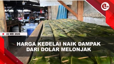 [VIDEO] Kedelai Melonjak, Pembuat Tempe di Tanjungpinang Tunggu Koordinasi Asosiasi | U-NEWS