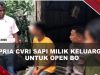[VIDEO] Pria di Bulukumba Cvri Sapi Milik Keluarga Untuk Sewa 4 PSK | U-NEWS