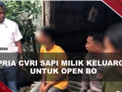 [VIDEO] Pria di Bulukumba Cvri Sapi Milik Keluarga Untuk Sewa 4 PSK | U-NEWS