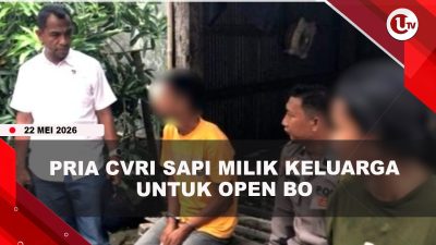 [VIDEO] Pria di Bulukumba Cvri Sapi Milik Keluarga Untuk Sewa 4 PSK | U-NEWS