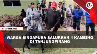 [VIDEO] Warga Singapura di Tanjungpinang Salurkan 4 Kambing di Masjid Nurul Fath | U-NEWS
