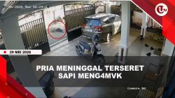 [VIDEO] Tr4gis, Pria Paruh Baya Meninggal Usai Terseret Sapi Hingga 50 Meter | U-NEWS