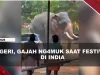 [VIDEO] Gajah Ng#mvk di India, Mobil Hancur Diinj4k Hingga 1 Orang T#w4s | U-NEWS
