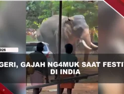 [VIDEO] Gajah Ng#mvk di India, Mobil Hancur Diinj4k Hingga 1 Orang T#w4s | U-NEWS