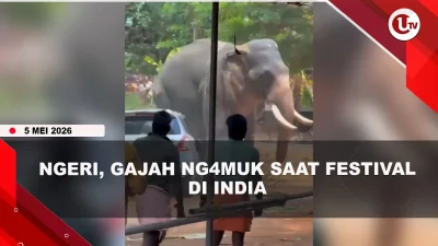 [VIDEO] Gajah Ng#mvk di India, Mobil Hancur Diinj4k Hingga 1 Orang T#w4s | U-NEWS