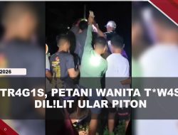 [VIDEO] Petani Wanita di Buton Ditemukan T#w4s Dililit Ular Piton Saat Berkebun | U-NEWS