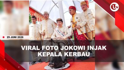 [VIDEO] Kontroversi Jokowi Injak Kepala Kerbau, PDIP Sebut Bentuk Kesombongan | U-NEWS