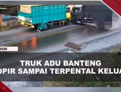 [VIDEO] Horor, Truk Adu Banteng Hingga Sopir Terpental Masuk Saluran Air | U-NEWS