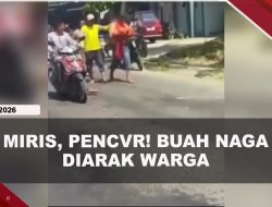 [VIDEO] Curi 151 Kg Buah Naga, Pria di Banyuwangi Diarak Warga Ke Polsek | U-NEWS