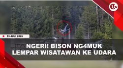 [VIDEO] Bison M#ngamuk Lempar Wisatawan Ke Udara Hingga Ketinggian 2,5 Meter | U-NEWS