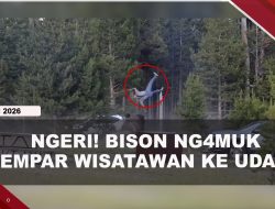 [VIDEO] Bison M#ngamuk Lempar Wisatawan Ke Udara Hingga Ketinggian 2,5 Meter | U-NEWS