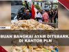 [VIDEO] Protes Pemadaman, Massa Tebar Ribuan Bangkai Ayam di Kantor PLN Palangka Raya | U-NEWS