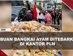 [VIDEO] Protes Pemadaman, Massa Tebar Ribuan Bangkai Ayam di Kantor PLN Palangka Raya | U-NEWS