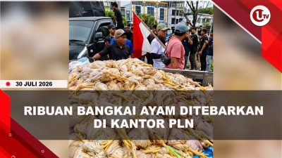[VIDEO] Protes Pemadaman, Massa Tebar Ribuan Bangkai Ayam di Kantor PLN Palangka Raya | U-NEWS