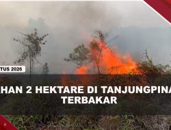 [VIDEO] Lahan 2 Hektare di Tanjungpinang Terbakar, Dipicu Aktivitas Membakar Sampah | U-NEWS