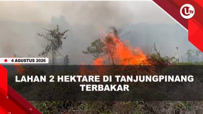 [VIDEO] Lahan 2 Hektare di Tanjungpinang Terbakar, Dipicu Aktivitas Membakar Sampah | U-NEWS