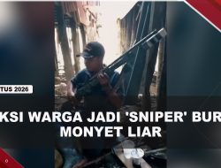 [VIDEO] 18 Orang Dirawat Usai Diserang Monyet Liar, Sejumlah Warga Jadi ‘Sniper’ | U-NEWS