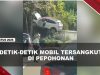 [VIDEO] K#celakaan Unik, Mobil Tersangkut di Antara Pepohonan Dan Kotak Listrik | U-NEWS