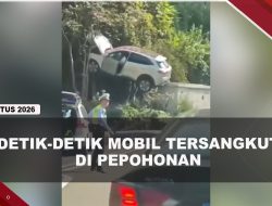 [VIDEO] K#celakaan Unik, Mobil Tersangkut di Antara Pepohonan Dan Kotak Listrik | U-NEWS
