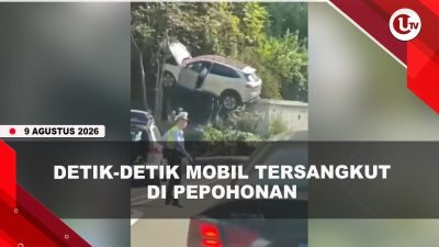 [VIDEO] K#celakaan Unik, Mobil Tersangkut di Antara Pepohonan Dan Kotak Listrik | U-NEWS