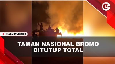 [VIDEO] K#bakaran Meluas, Taman Nasional Bromo Ditutup Total | U-NEWS