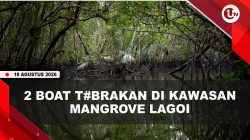 [VIDEO[ 2 Boat T#brakan Saat Tur Mangrove di Lagoi, 8 Wisatawan Luka-Luka | U-NEWS