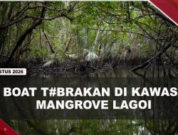[VIDEO[ 2 Boat T#brakan Saat Tur Mangrove di Lagoi, 8 Wisatawan Luka-Luka | U-NEWS