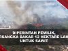 [VIDEO] Polisi Tangkap Tersangka Pembakaran 12 Hektare Lahan, Kerugian Capai Rp1,2 Miliar | U-NEWS