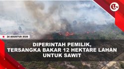 [VIDEO] Polisi Tangkap Tersangka Pembakaran 12 Hektare Lahan, Kerugian Capai Rp1,2 Miliar | U-NEWS