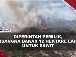 [VIDEO] Polisi Tangkap Tersangka Pembakaran 12 Hektare Lahan, Kerugian Capai Rp1,2 Miliar | U-NEWS