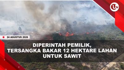 [VIDEO] Polisi Tangkap Tersangka Pembakaran 12 Hektare Lahan, Kerugian Capai Rp1,2 Miliar | U-NEWS