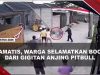 [VIDEO] Kronologi Bocah 9 Tahun Digigit Anjing Pitbull, Korban Alami Luka Berat di Kepala | U-NEWS