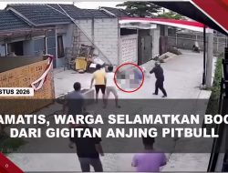 [VIDEO] Kronologi Bocah 9 Tahun Digigit Anjing Pitbull, Korban Alami Luka Berat di Kepala | U-NEWS