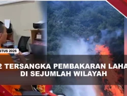 [VIDEO] Bareskrim Tetapkan 72 Tersangka Karhutla, Bakar Lahan Untuk Kebun Sawit | U-NEWS