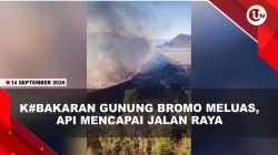 [VIDEO] Wisata Gunung Bromo Ditutup Total, Kebakaran Meluas Mencapai Jalan Raya | U-NEWS
