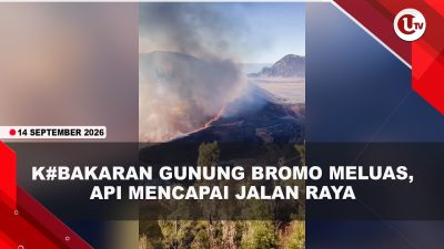 [VIDEO] Wisata Gunung Bromo Ditutup Total, Kebakaran Meluas Mencapai Jalan Raya | U-NEWS