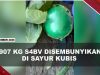 [VIDEO] Badan Anti Narkotika Amerika Temukan 907 Kg S4bv di Dalam Sayur Kubis | U-NEWS