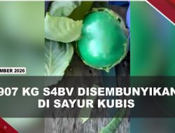 [VIDEO] Badan Anti Narkotika Amerika Temukan 907 Kg S4bv di Dalam Sayur Kubis | U-NEWS