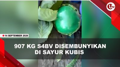 [VIDEO] Badan Anti Narkotika Amerika Temukan 907 Kg S4bv di Dalam Sayur Kubis | U-NEWS