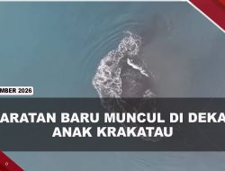 [VIDEO] Daratan Seluas 30,8 Hektare Muncul Usai Erupsi Anak Krakatau | U-NEWS